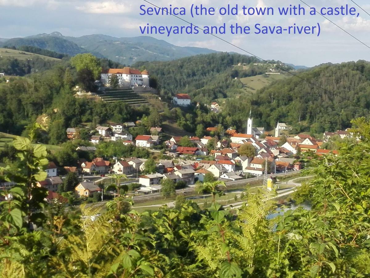 فيلا Getaway "At The Three Lights" Sevnica المظهر الخارجي الصورة