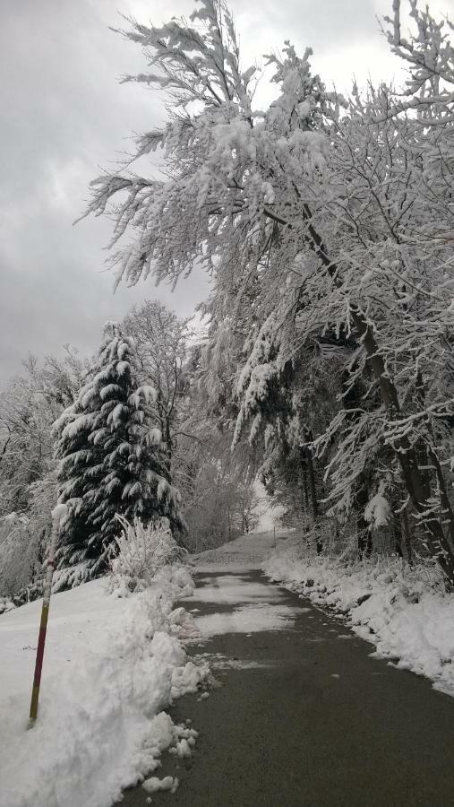 فيلا Getaway "At The Three Lights" Sevnica المظهر الخارجي الصورة